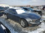 2010 Ford Mustang  за продажба в Cahokia Heights, IL - Rear End