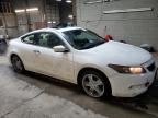 2009 Honda Accord Exl за продажба в Angola, NY - Undercarriage