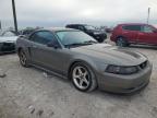 2001 Ford Mustang Gt للبيع في Apopka، FL - Mechanical