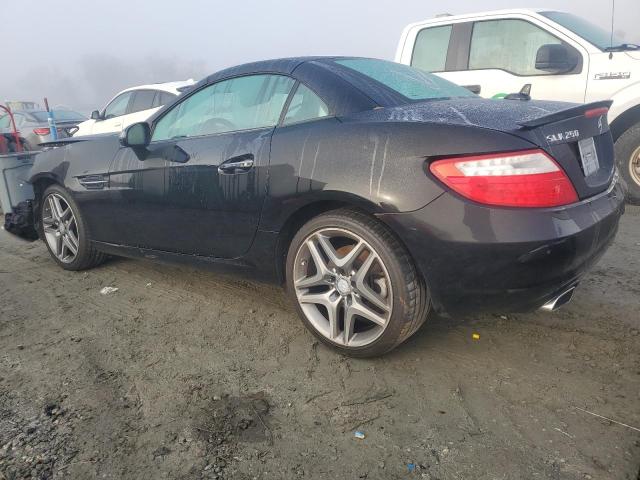 Cabriolets MERCEDES-BENZ SLK-CLASS 2014 Black