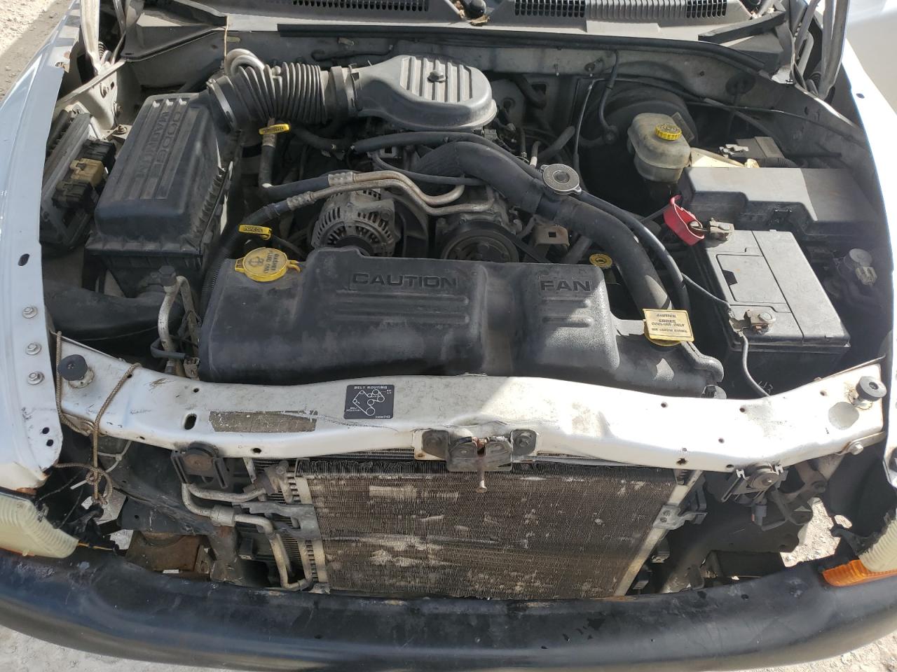 2003 Dodge Dakota - Image 12