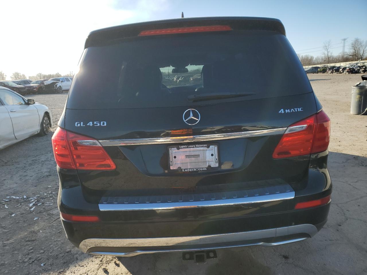 VIN 4JGDF7CE5DA154778 2013 MERCEDES-BENZ GL-CLASS no.6