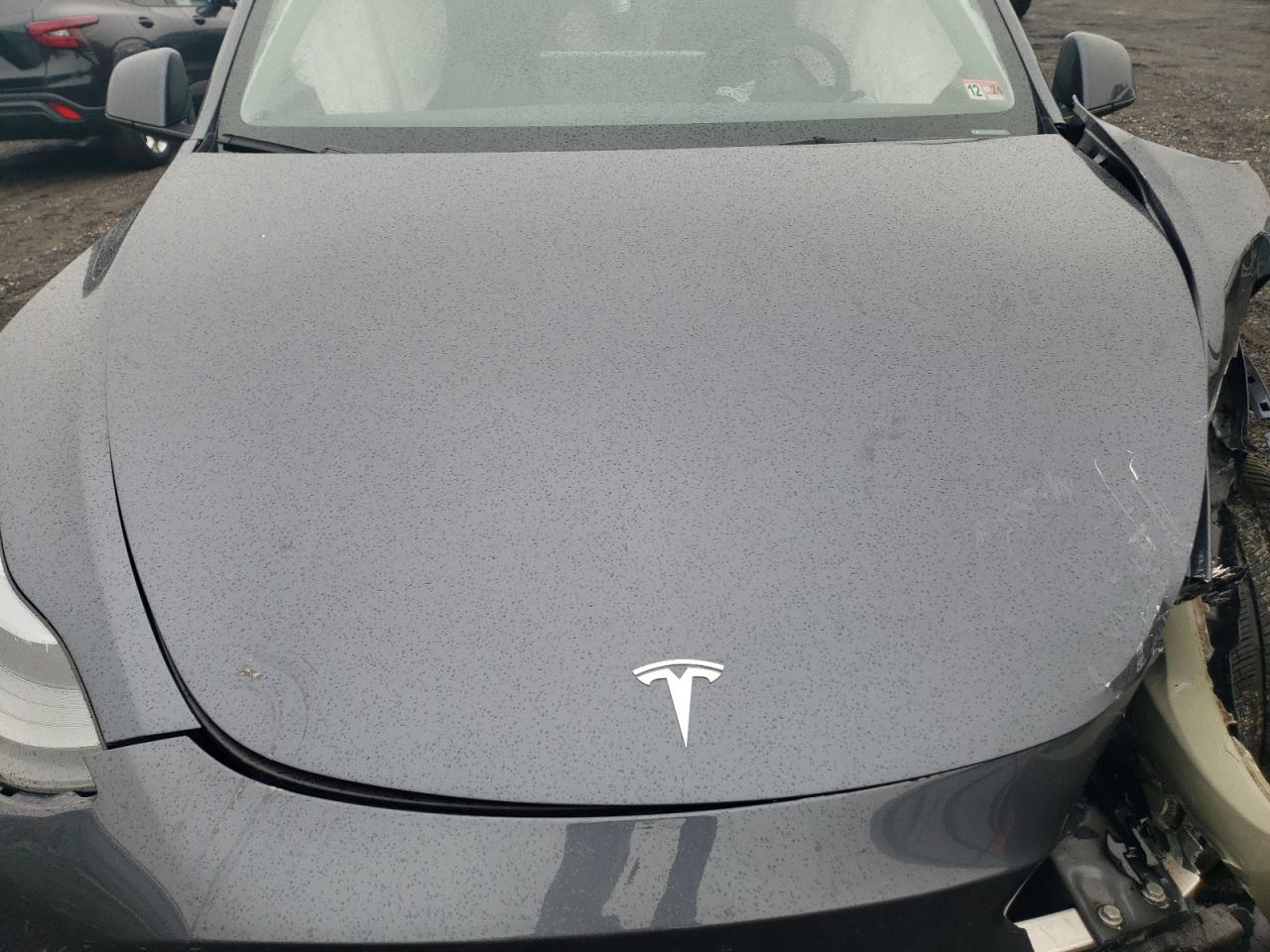 2023 Tesla Model Y VIN: 7SAYGDEE3PA203552 Lot: 84220664