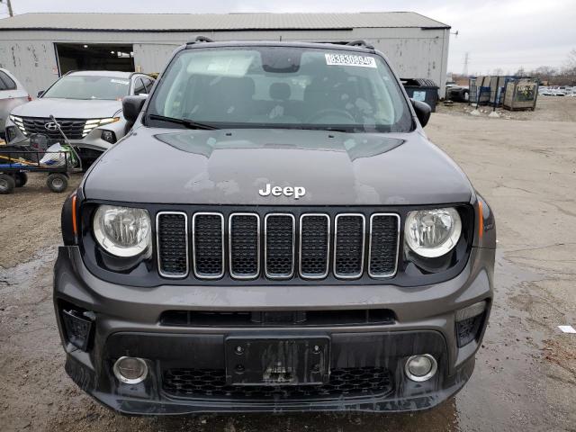  JEEP RENEGADE 2019 Сірий