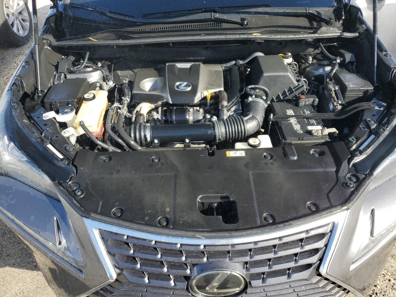 2019 Lexus NX - Image 12