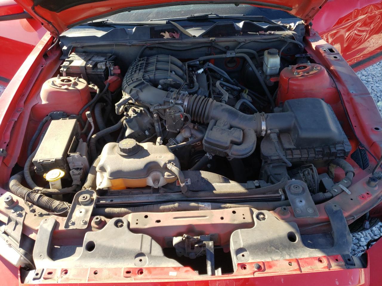 2014 Ford Mustang - Image 11