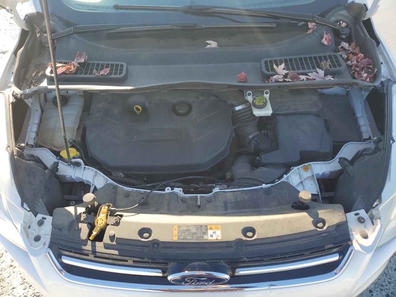 2014 Ford Escape - Image 12