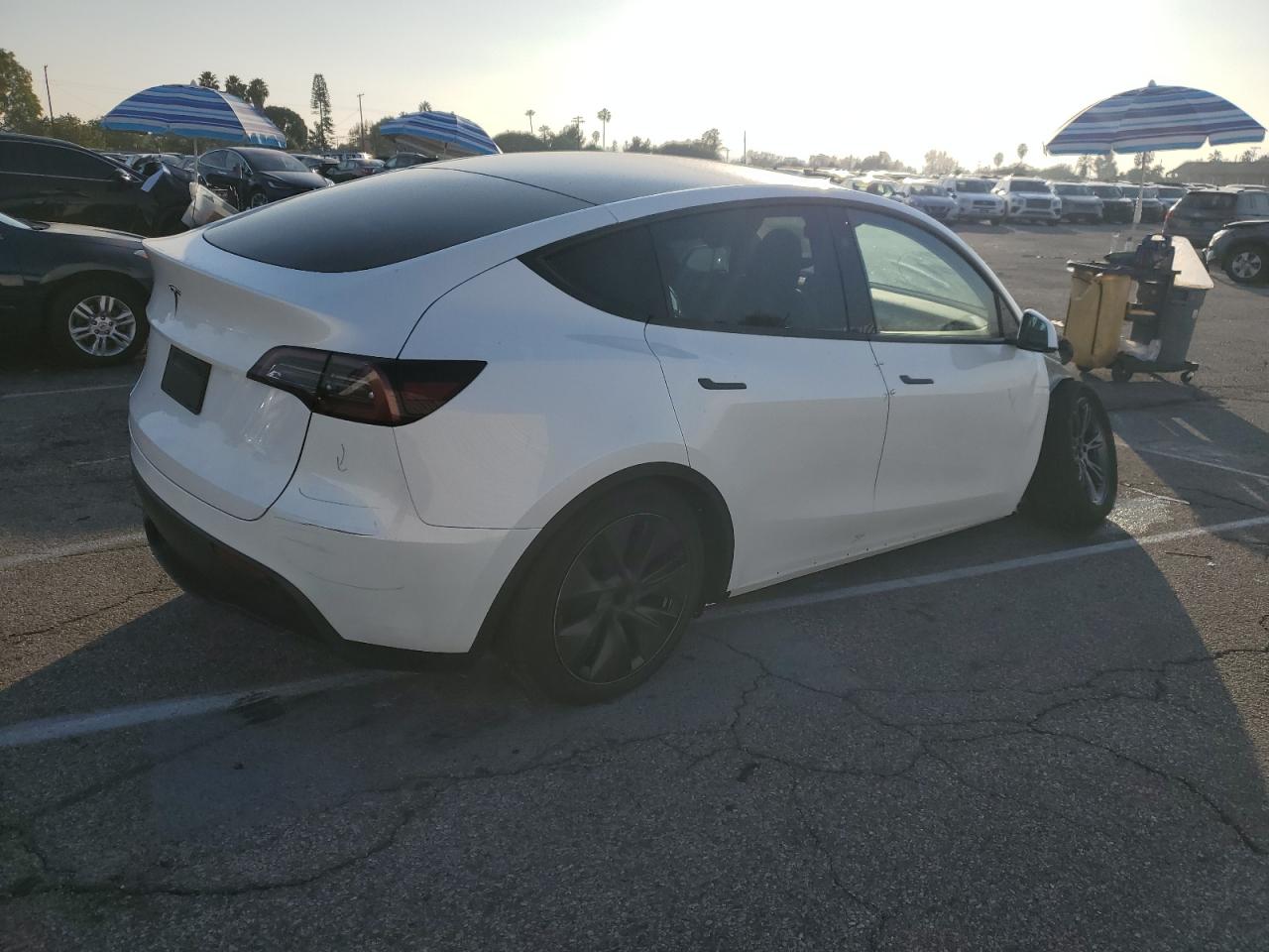 VIN 7SAYGDED1RF169916 2024 TESLA MODEL Y no.3