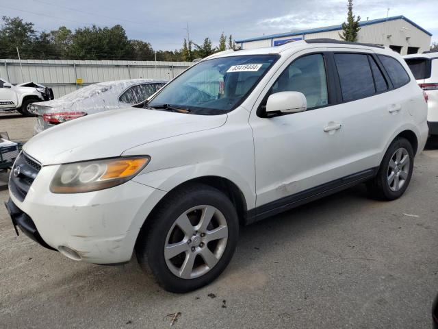 2007 Hyundai Santa Fe Se