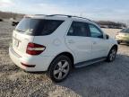 2010 Mercedes-Benz Ml 350 4Matic zu verkaufen in Memphis, TN - Front End