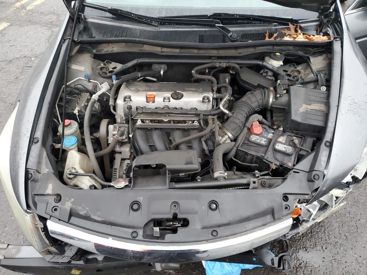 2011 Honda Accord Exl VIN: 1HGCP2F89BA033272 Lot: 85425484