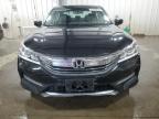 2016 Honda Accord Lx for Sale in Ham Lake, MN - Rear End
