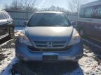 2010 Honda Cr-V Exl de vânzare în Hillsborough, NJ - Normal Wear