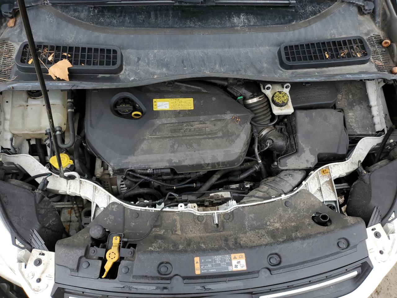 2014 Ford Escape - Image 11
