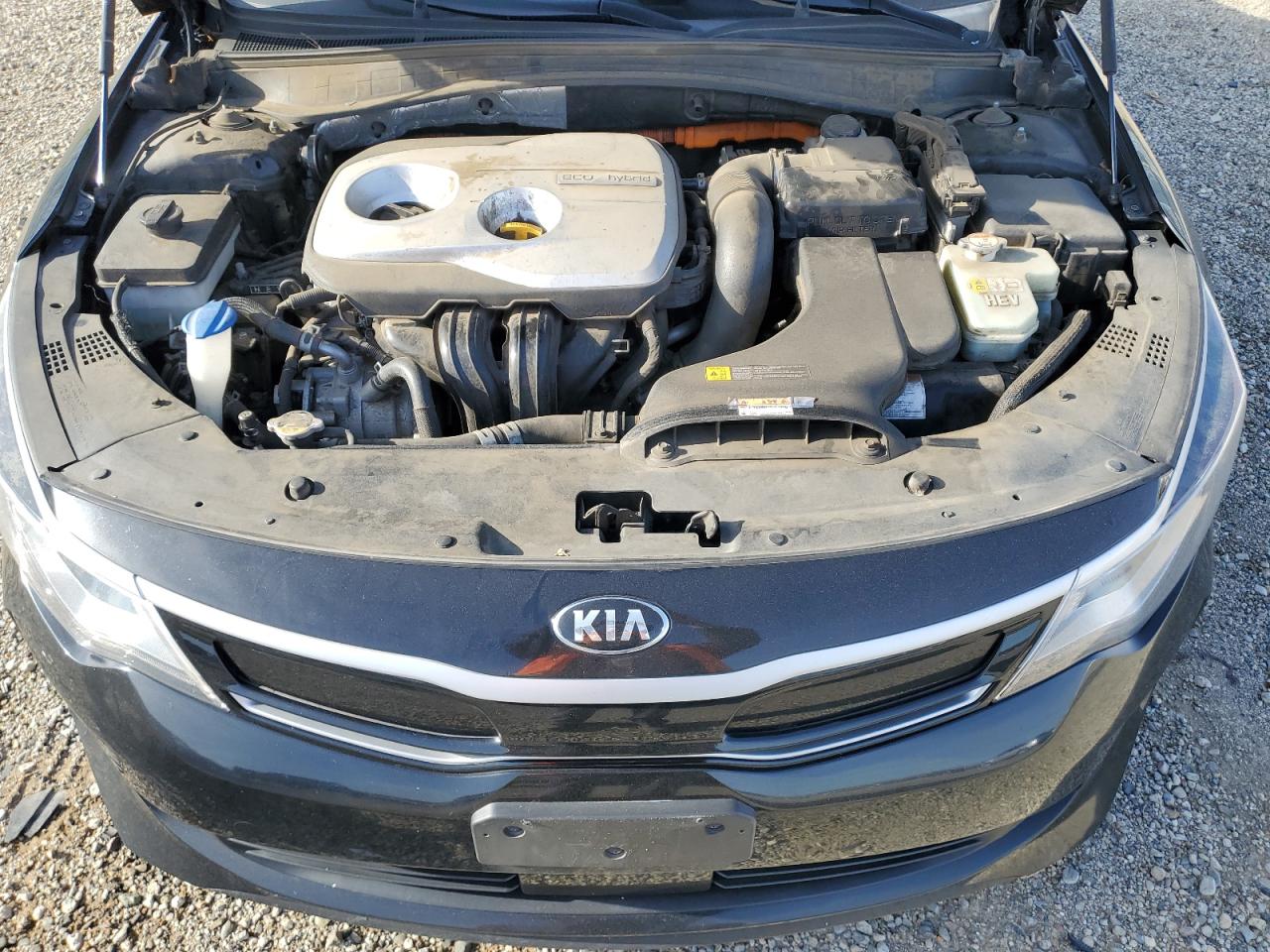 VIN KNAGU4LE0J5020414 2018 KIA OPTIMA no.11