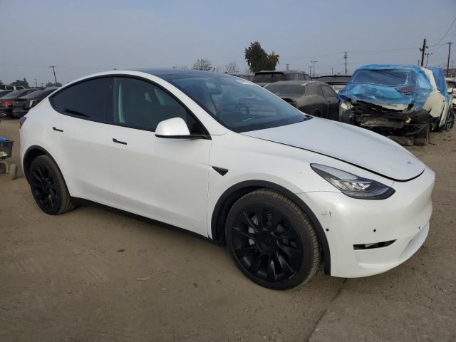  TESLA MODEL Y 2021 Белы