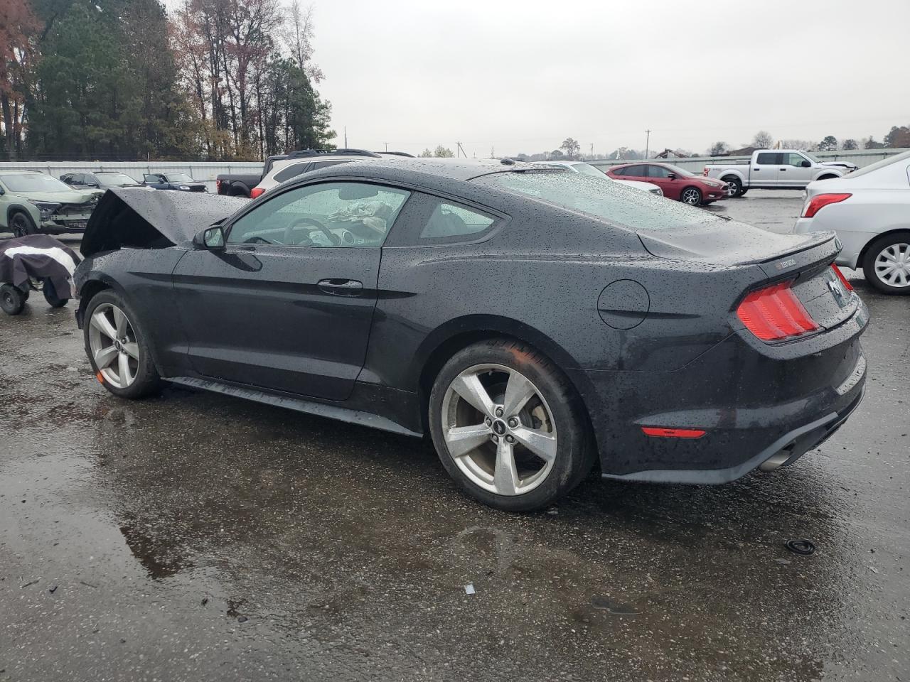 1FA6P8TH3K5101678 2019 FORD MUSTANG - Image 2