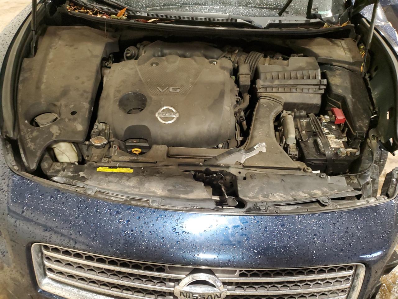 2009 Nissan Maxima S VIN: 1N4AA51EX9C857680 Lot: 82986754