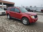 2011 Ford Escape Xlt იყიდება Fort Wayne-ში, IN - Front End