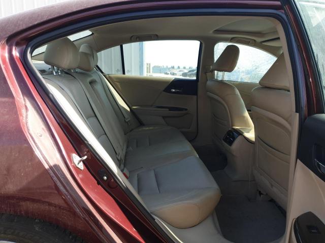 1HGCR2674DA616143 - 2013 HONDA ACCORD - #undefined