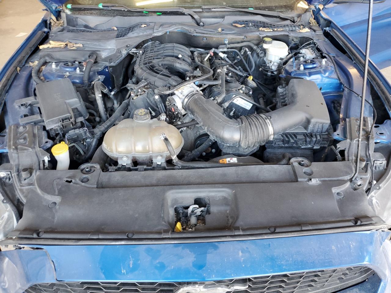 2017 Ford Mustang VIN: 1FA6P8AM0H5291223 Lot: 84471814