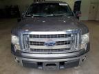 2013 Ford F150 Supercrew for Sale in Lufkin, TX - Rear End