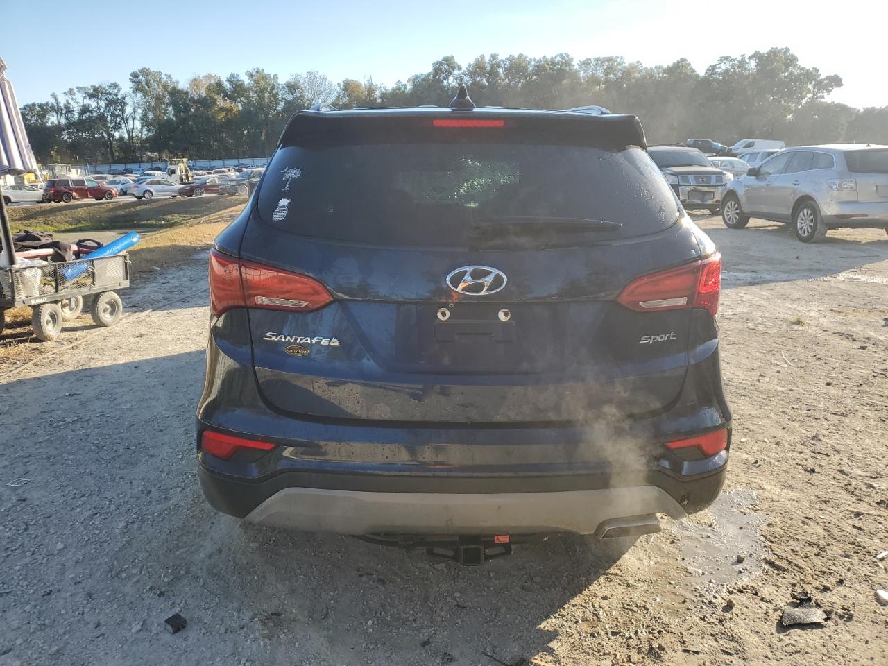 VIN 5XYZU3LB0JG561157 2018 HYUNDAI SANTA FE no.6