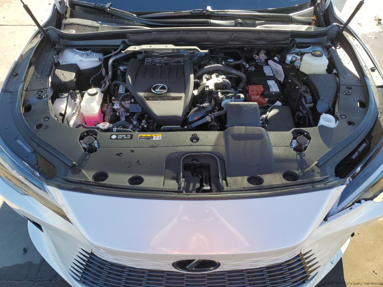 2024 Lexus RX - Image 12
