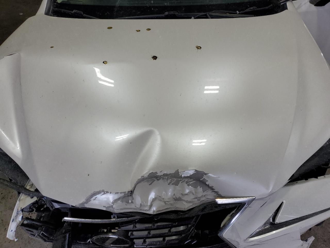 2020 Lexus NX - Image 12