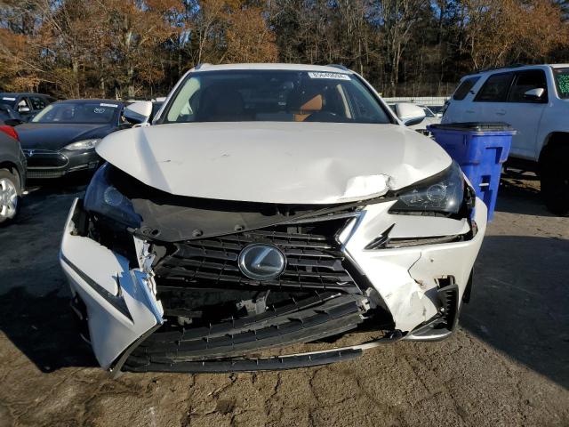  LEXUS NX 2019 Белы