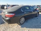 2013 Honda Accord Exl იყიდება Grand Prairie-ში, TX - Minor Dent/Scratches