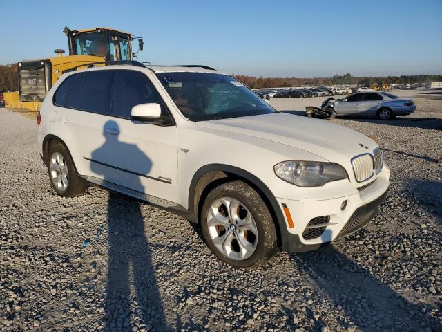 Паркетники BMW X5 2012 Білий