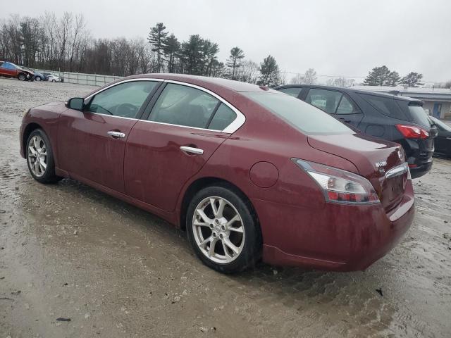  NISSAN MAXIMA 2013 Бордовий