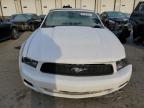 2012 Ford Mustang  for Sale in Louisville, KY - Side