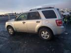 2008 Ford Escape Xlt zu verkaufen in Airway Heights, WA - Front End