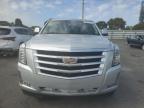 2016 Cadillac Escalade Luxury на продаже в Miami, FL - Normal Wear