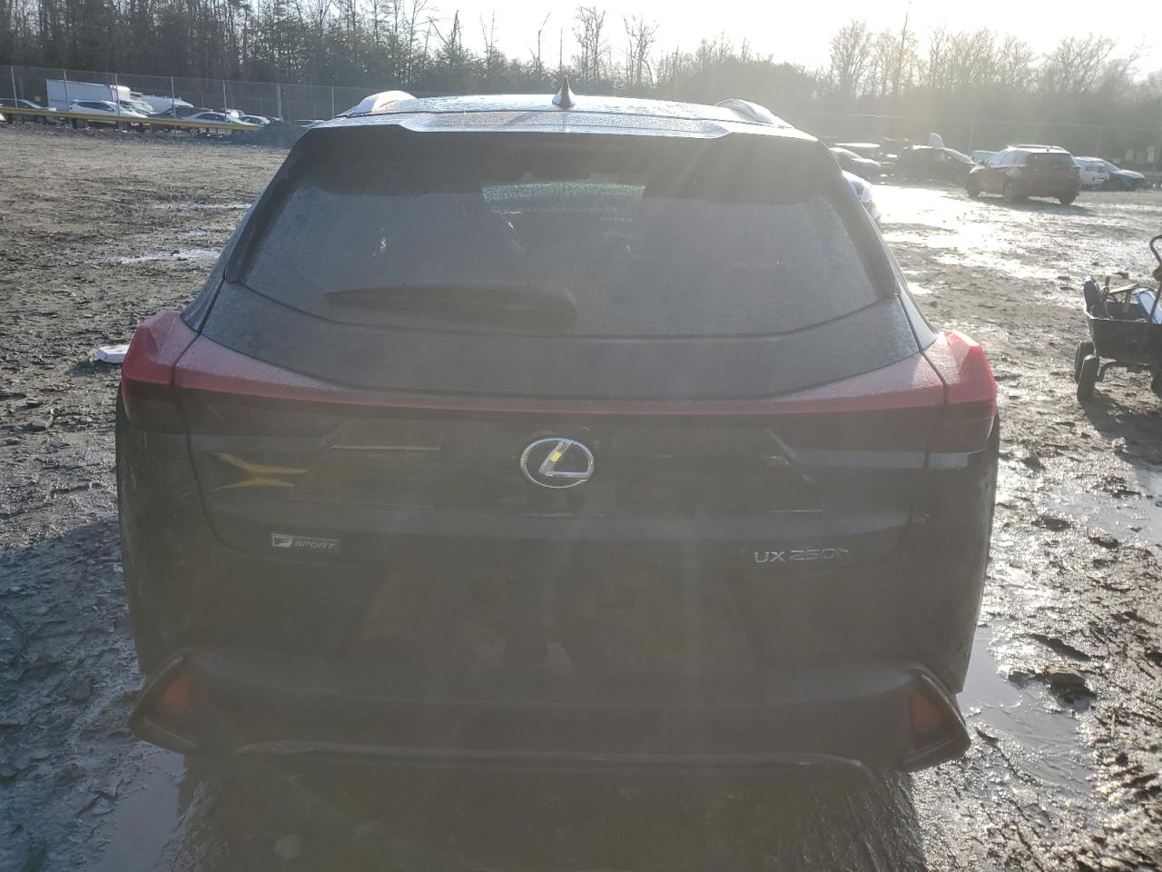 2021 Lexus UX - Image 6