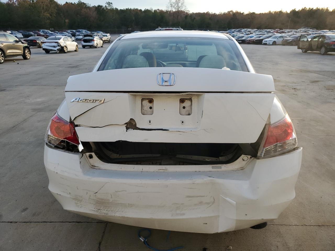 2009 Honda Accord Lxp VIN: 1HGCP26499A060673 Lot: 84949984