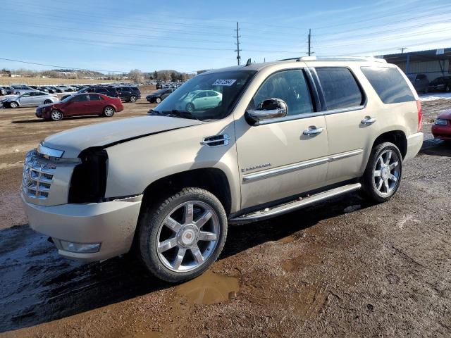 2009 Cadillac Escalade Luxury