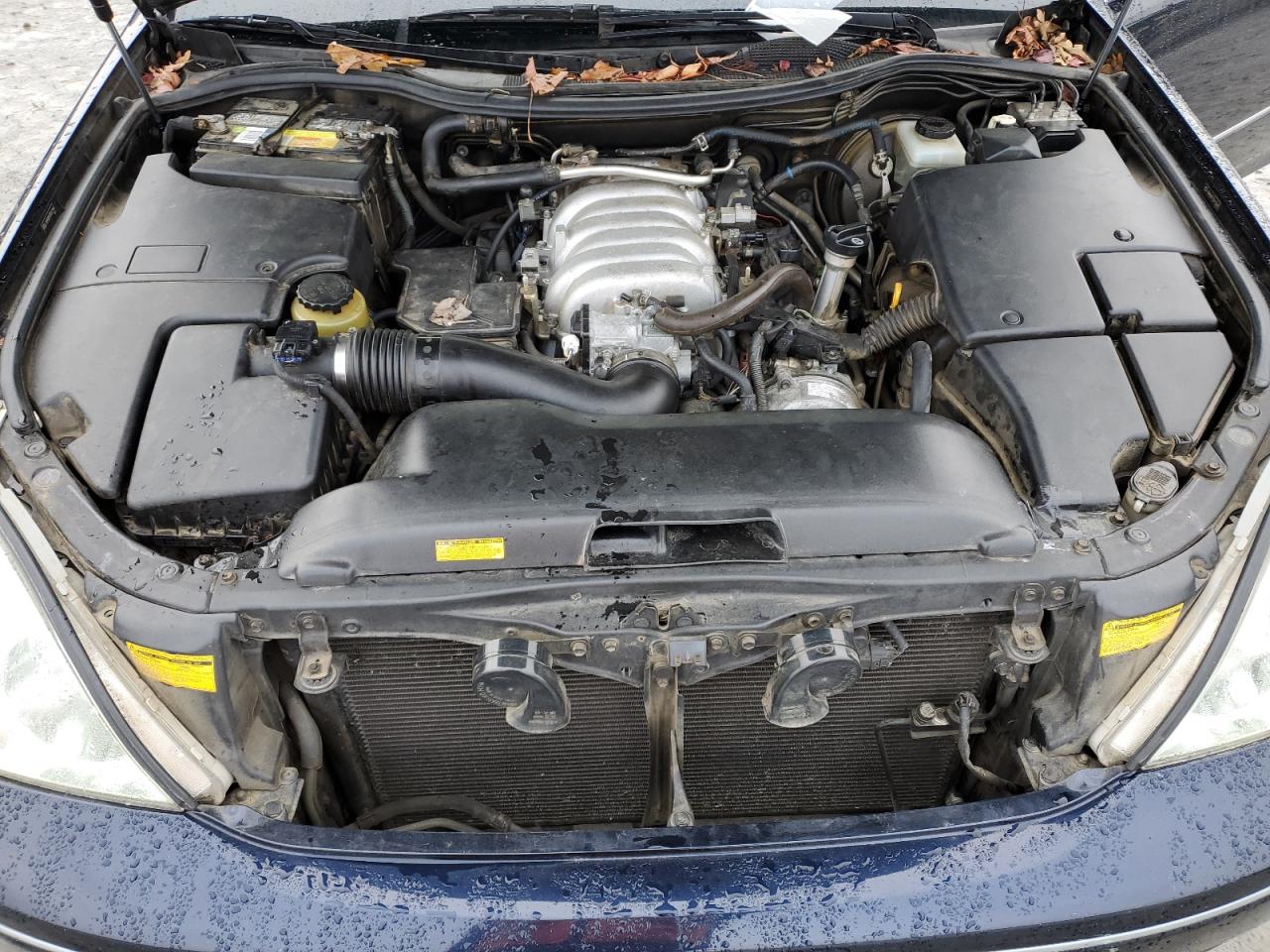 2003 Lexus LS - Image 11