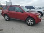 2010 Ford Escape Xlt for Sale in Lebanon, TN - Front End