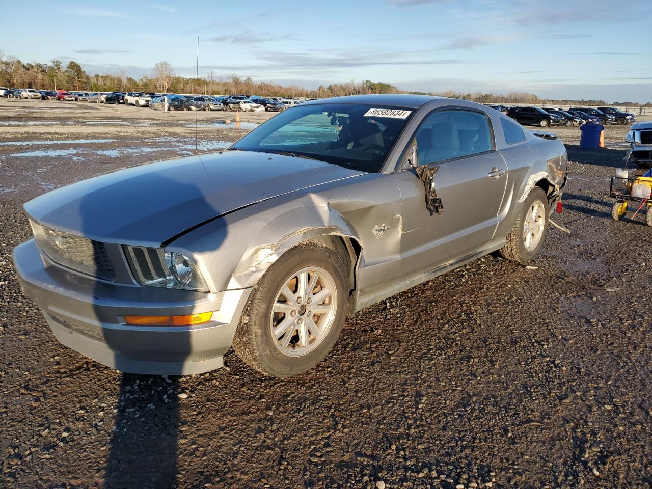 2009 Ford Mustang for Sale in Lumberton, NC - Side