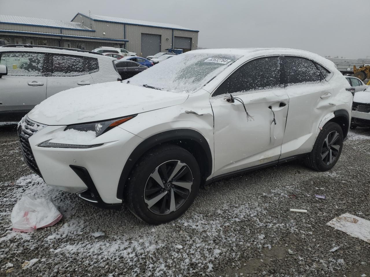 2019 Lexus NX - Image 1