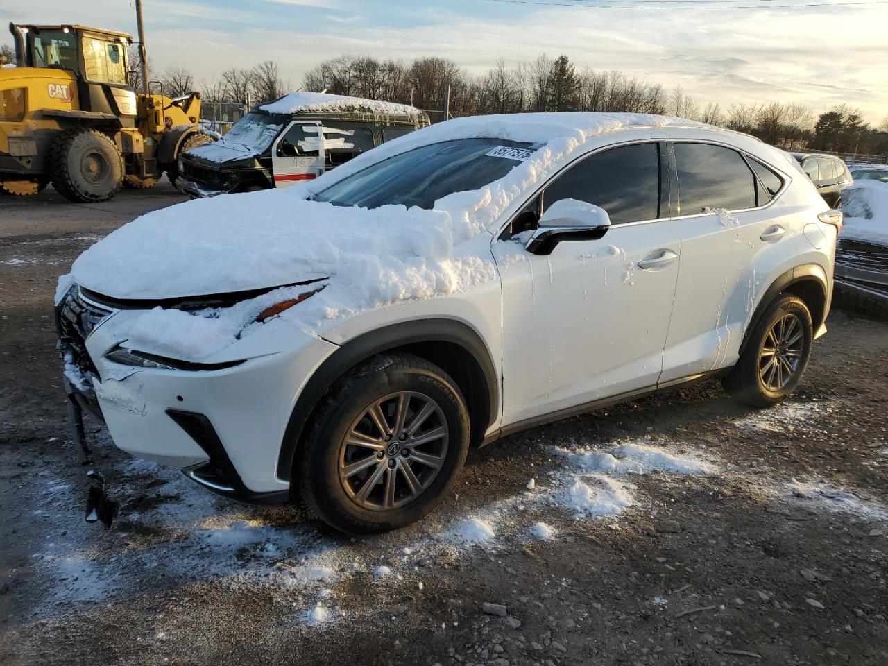 JTJBARBZ7K2185402 2019 LEXUS NX - Image 1