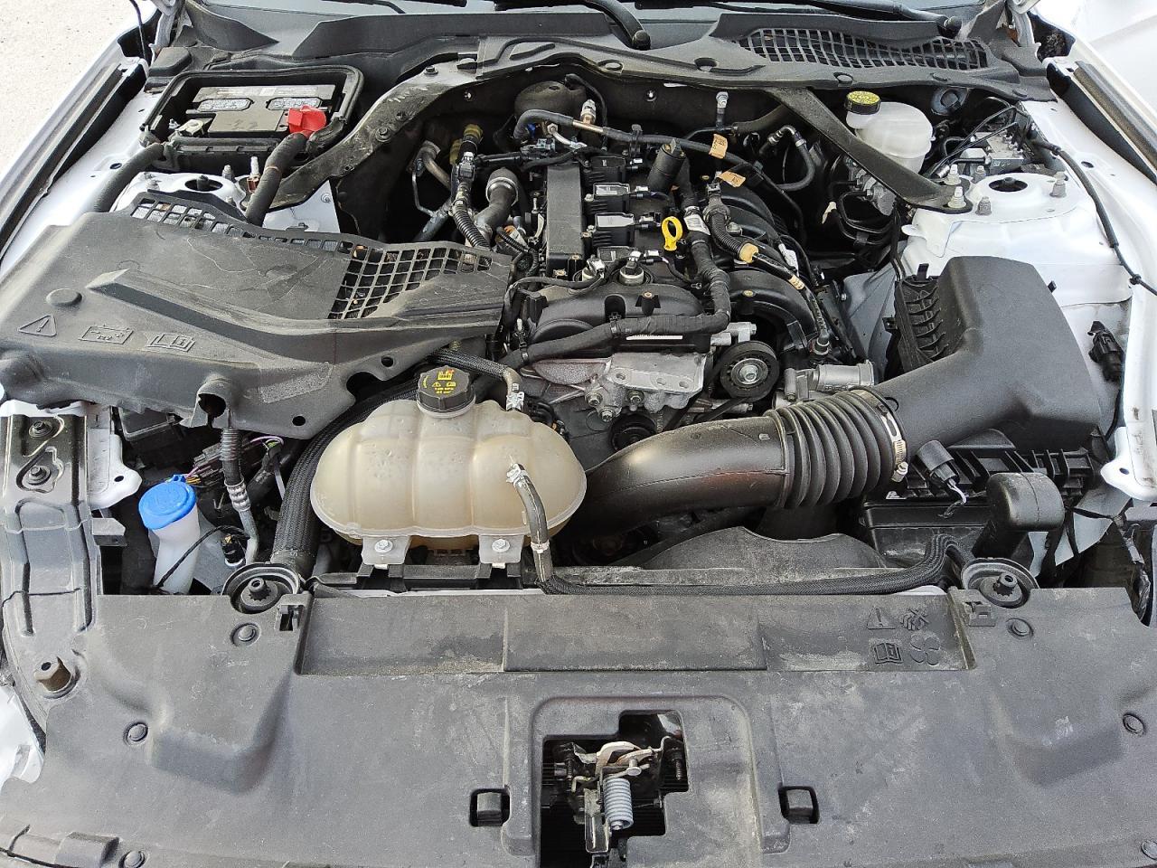 2022 Ford Mustang VIN: 1FATP8UH0N5129427 Lot: 82910934