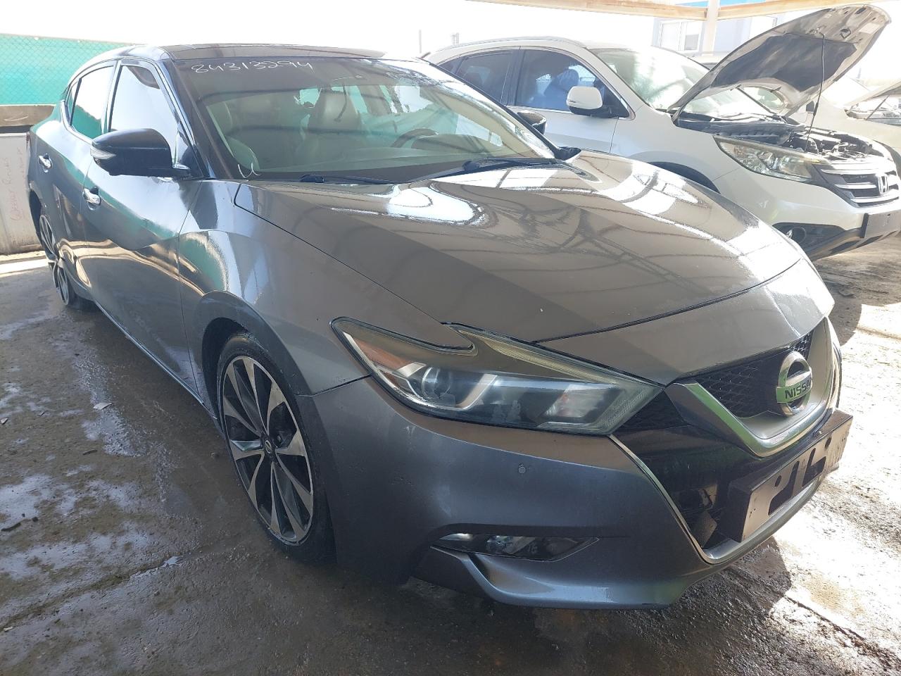 1N4AA6AP8GC414206 - 2016 Nissan MAXIMA - #84313294