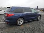 2019 Honda Odyssey Exl en Venta en Hillsborough, NJ - Rear End