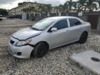 2010 Toyota Corolla Base zu verkaufen in Opa Locka, FL - Front End