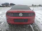 2014 Ford Mustang  for Sale in Reno, NV - Front End