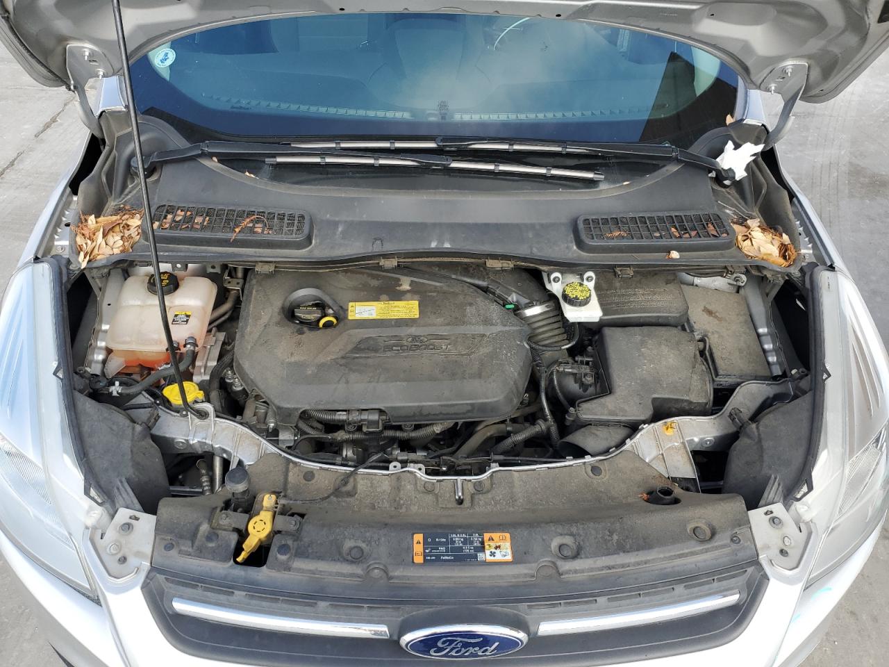 VIN 1FMCU0GX7DUC13364 2013 FORD ESCAPE no.12